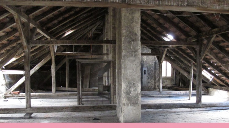 Ausbau zu einer Dachgeschoßwohnung in einem Zinshaus